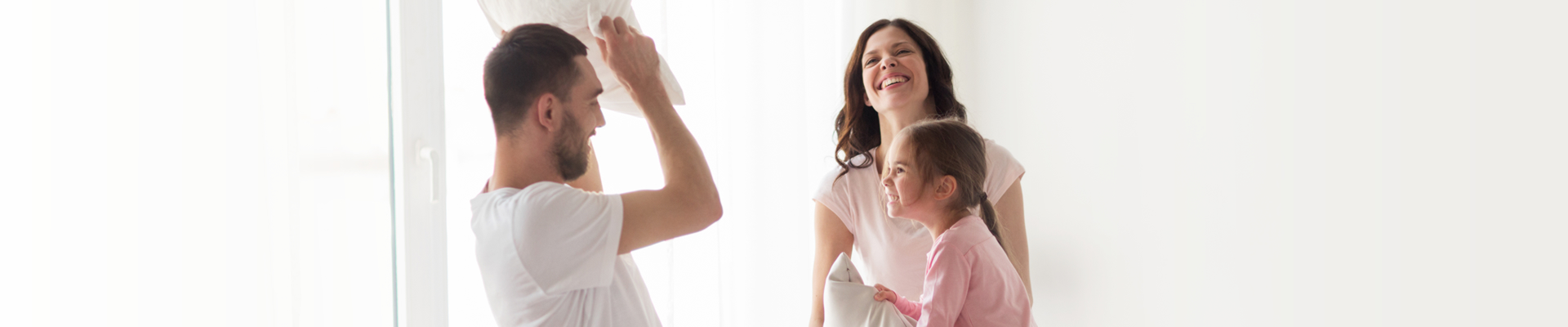 inner banner r in duct air purification